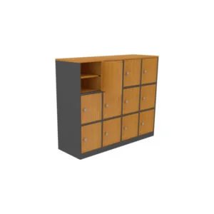 24 pairs shoe cabinet, solid doors